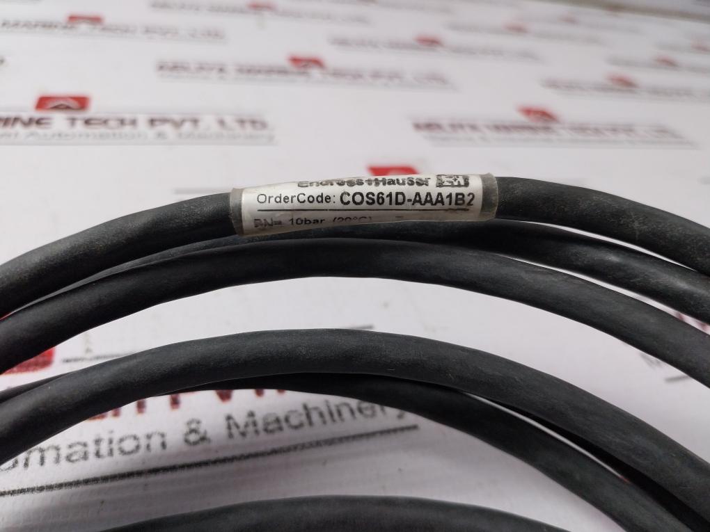 Endress+Hauser Cos61D-10A1/0 Digital Oxygen Sensor