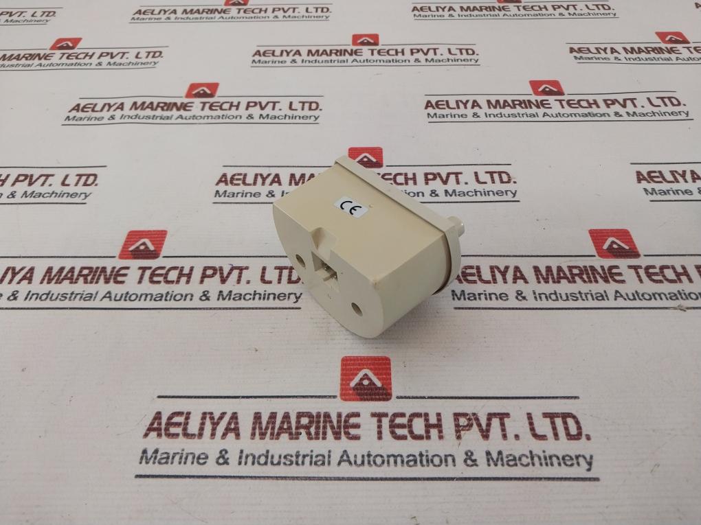 Endress+Hauser Em12 Dc/Pnp Level Limiter 10…55V