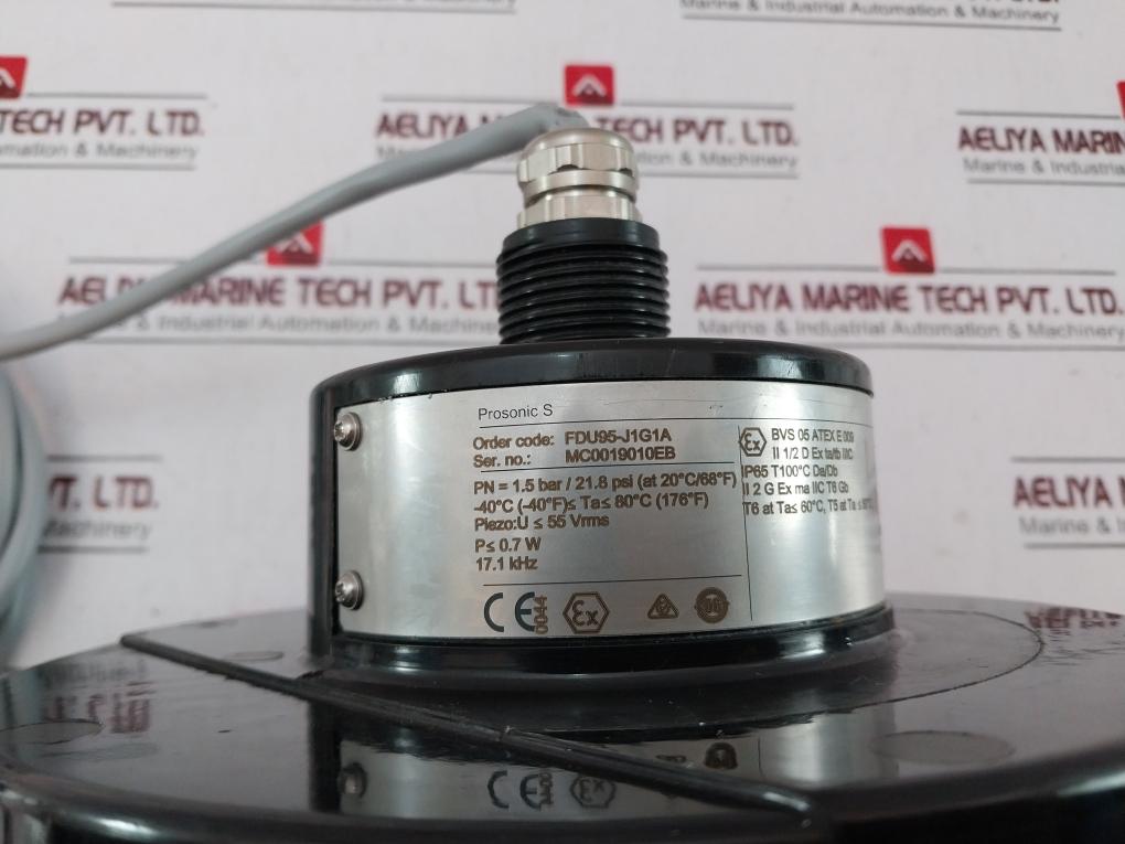 Endress+Hauser Fdu95-j1G1A Ultrasonic Sensor