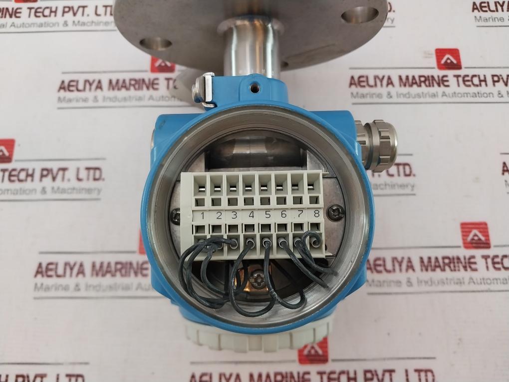 Endress+Hauser Flt51-47Jq5/0 Level Switch