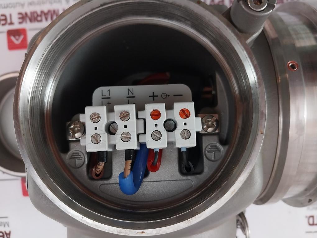 Endress+Hauser Fmg60-a2A1L1A1A Gammapilot M Compact Transmitter 52018524 Ip65/67