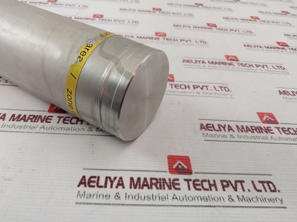 Endress+Hauser Fmg60-a2A1L1A1A Gammapilot M Compact Transmitter 52018524 Ip65/67