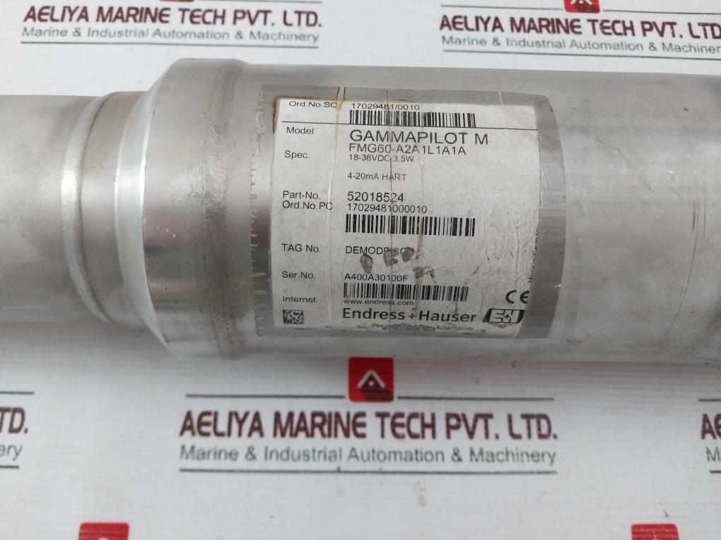 Endress+Hauser Fmg60-a2A1L1A1A Gammapilot M Compact Transmitter 52018524 Ip65/67