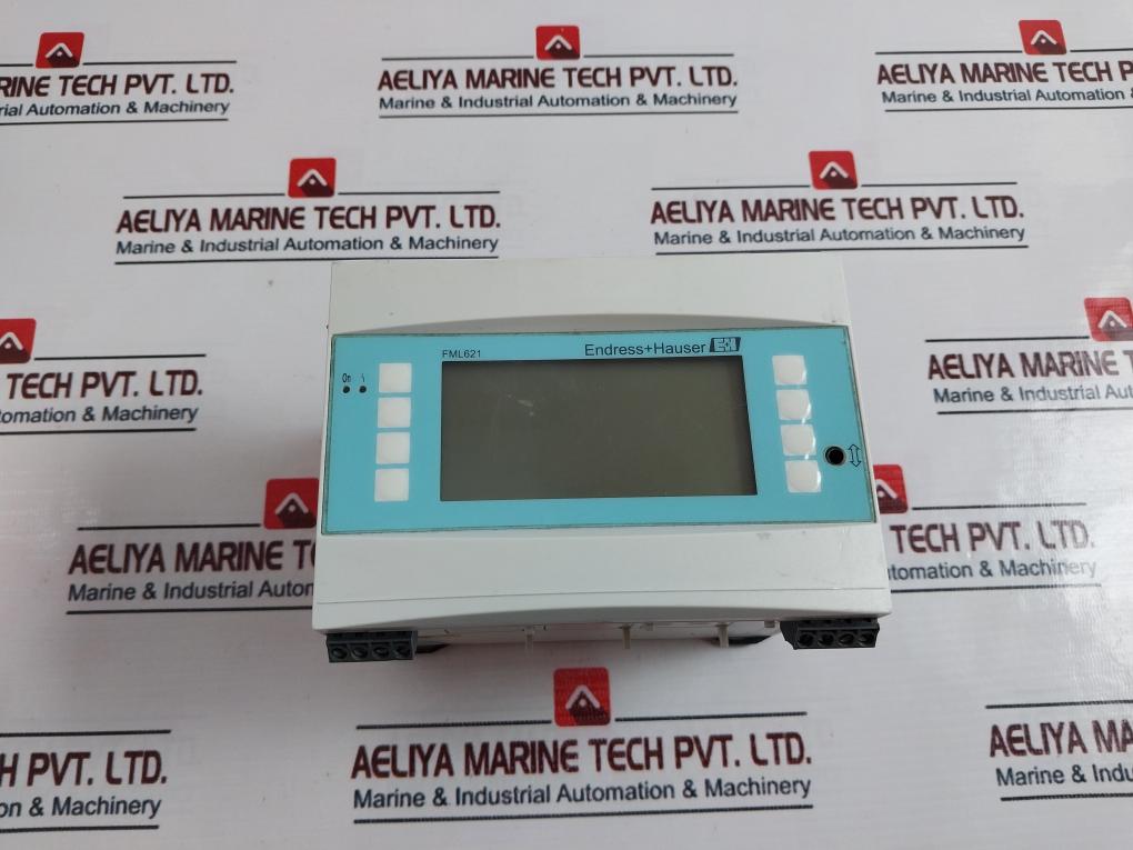 Endress+Hauser FML621 Vibronic Density Calculator 24V