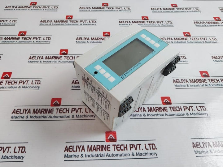 Endress+Hauser FML621 Vibronic Density Calculator 24V