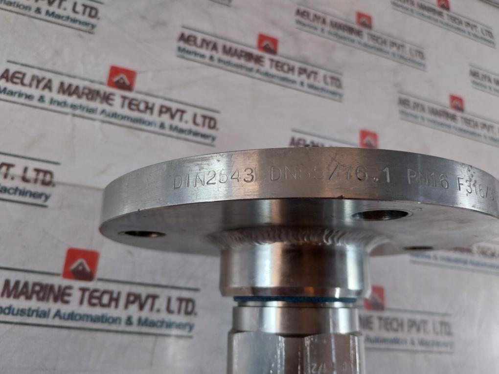 Endress+Hauser FMP40-1AA2GRJB111A Level Flex M Transmitter