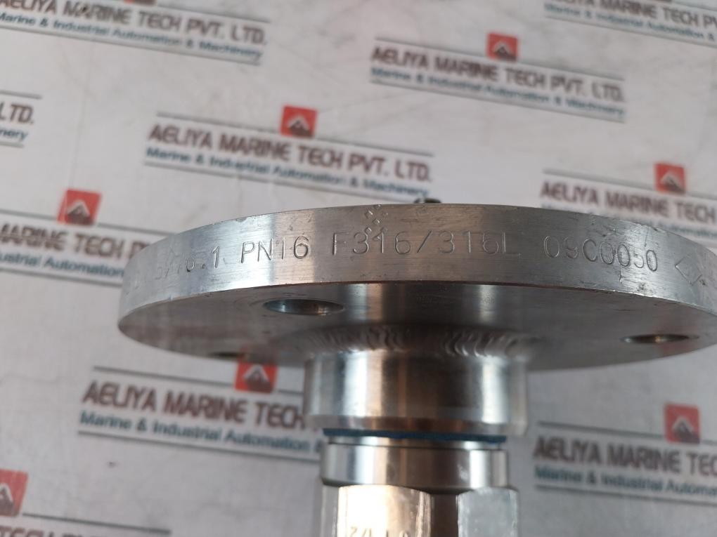Endress+Hauser Fmp40-1Aa2Grjb111A Level Flex M Transmitter