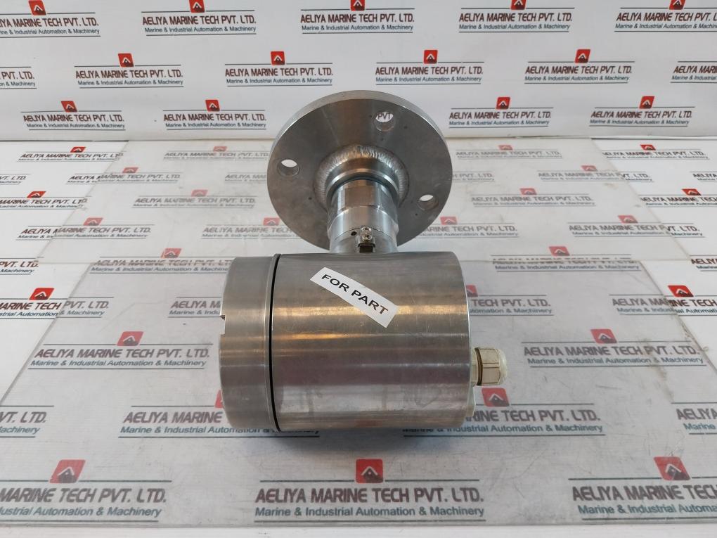 Endress+Hauser Fmp40-1Aa2Grjb111A Level Flex M Transmitter