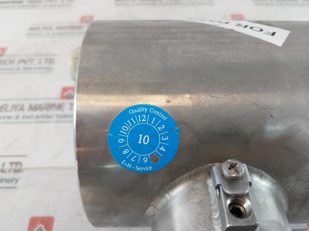 Endress+Hauser Fmp40-1Aa2Grjb111A Level Flex M Transmitter