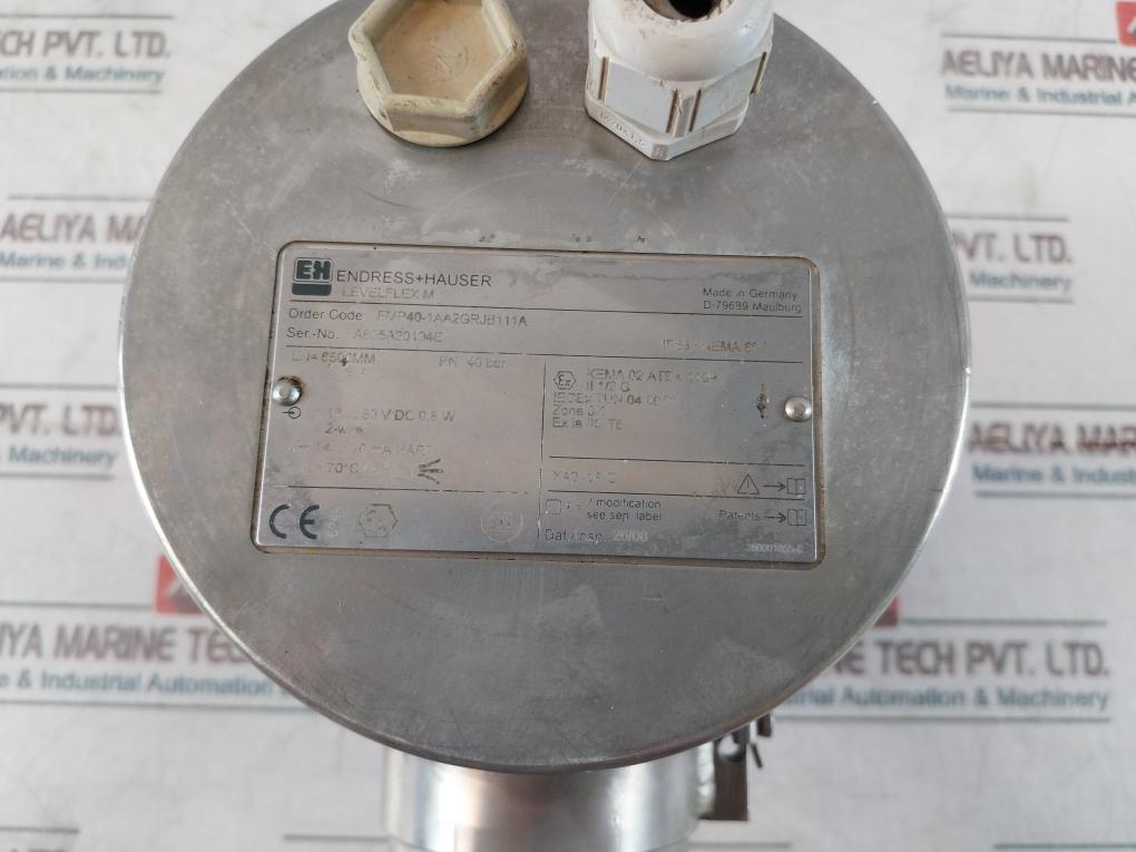 Endress+Hauser FMP40-1AA2GRJB111A Level Flex M Transmitter