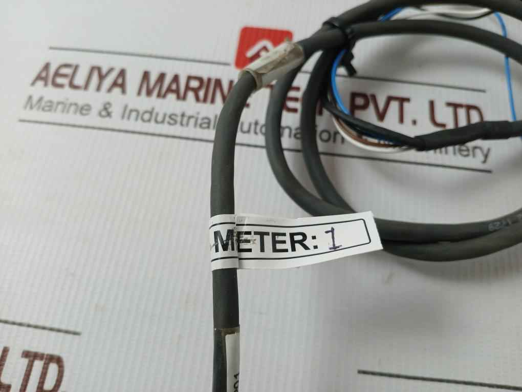 Endress+Hauser Ftl50-ggq2Aa8N3A Liquiphant M Vibronic Point Level Detector 1M