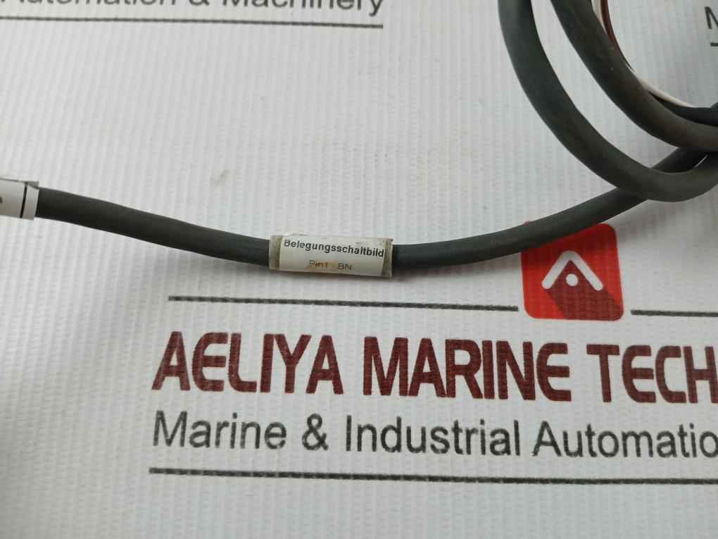 Endress+Hauser Ftl50-ggq2Aa8N3A Liquiphant M Vibronic Point Level Detector 1M