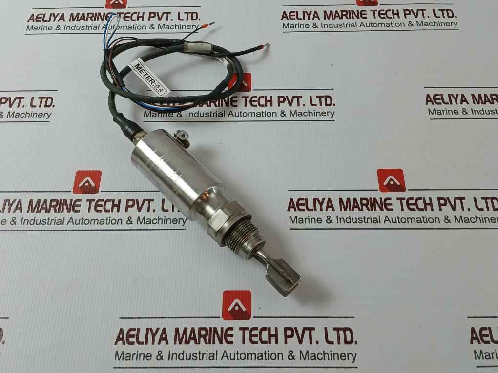 Endress+Hauser Ftl50-ggq2Aa8N3A Liquiphant M Vibronic Point Level Detector 1M