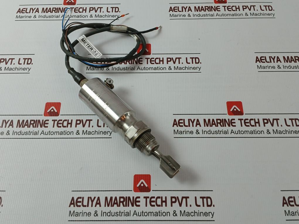 Endress+Hauser Ftl50-ggq2Aa8N3A Liquiphant M Vibronic Point Level Detector 1M.