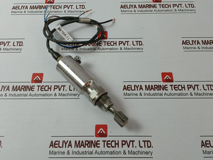 Endress+Hauser Ftl50-ggq2Aa8N3A Liquiphant M Vibronic Point Level Detector 1M.