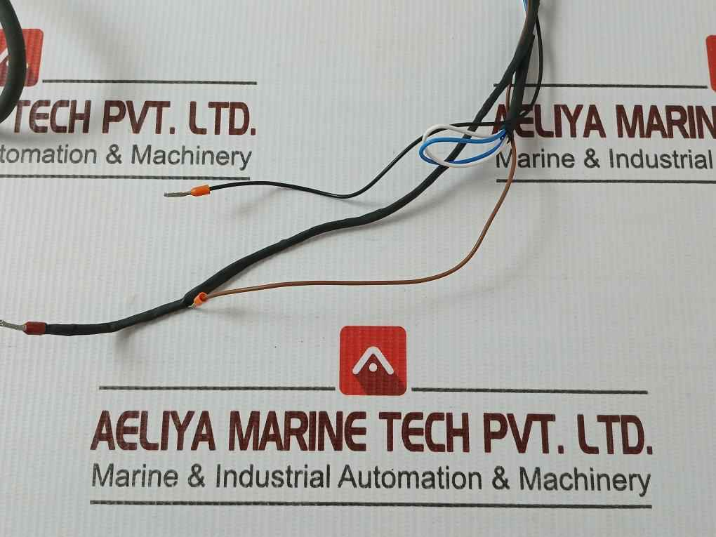 Endress+Hauser Ftl50-ggq2Aa8N3A Liquiphant M Vibronic Point Level Detector 1M