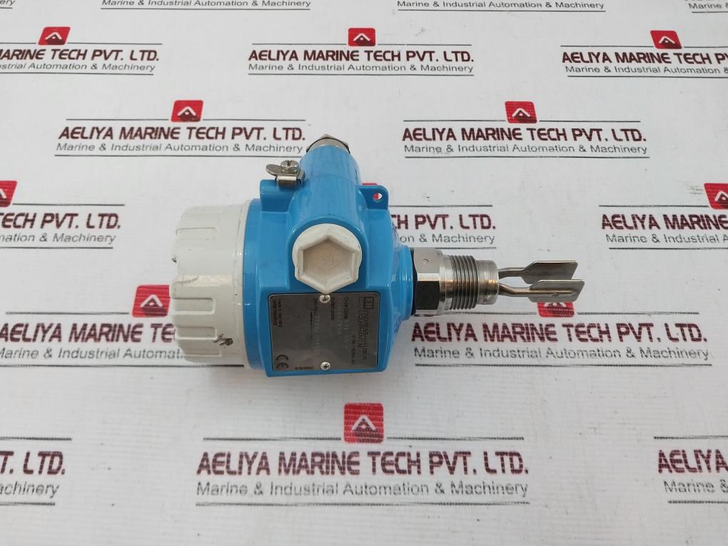 Endress+Hauser Ftl 50 Level Switch 10…55V Dc 350Ma