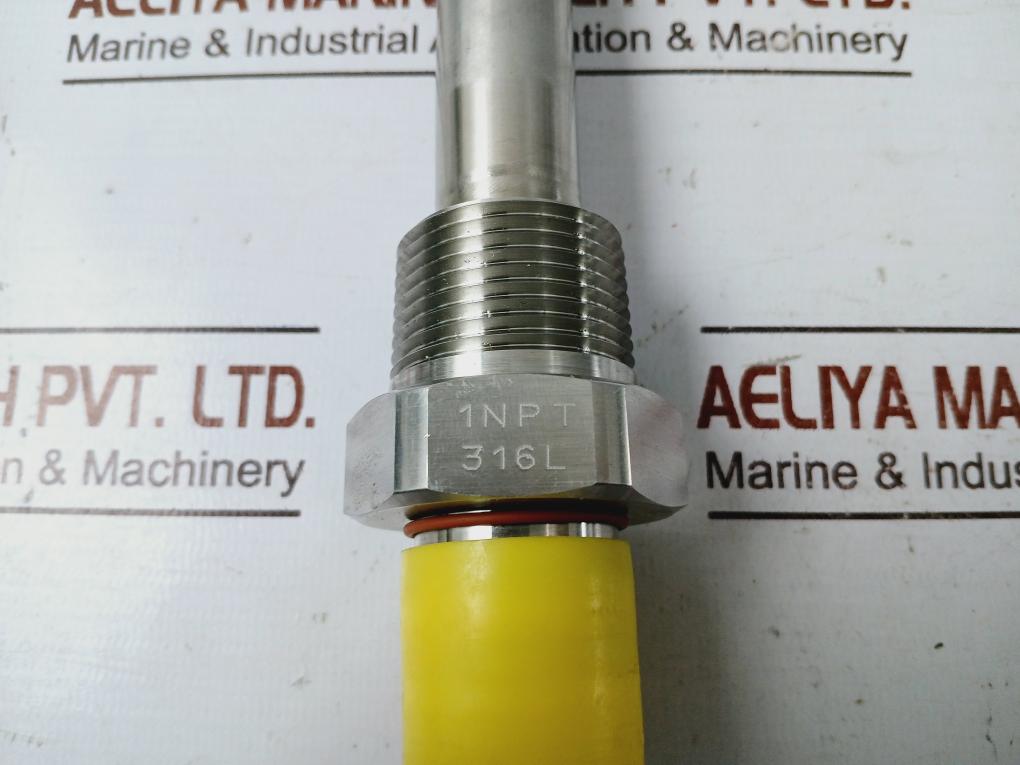 Endress+Hauser Ftl51X-hgn2Bb 52004233 Sensor With Process Connection Set