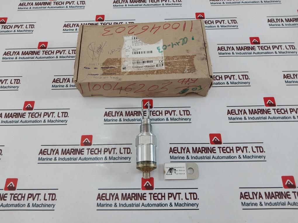 Endress+Hauser Liquiphant Ftl20-0025 Liquid Level Sensor