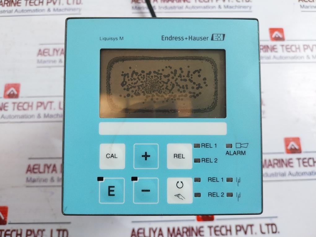 Endress+Hauser Liquisys M Cpm223 Ph/Redox Transmitter Ph0…14