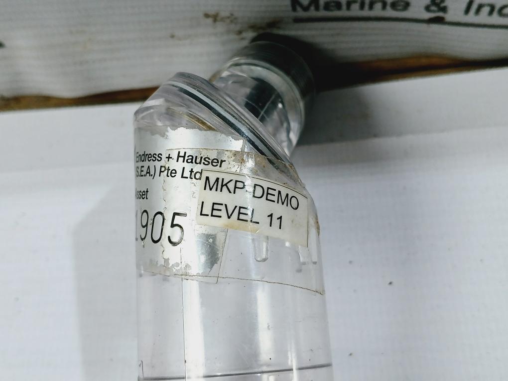 Endress+Hauser Nivector Ftc 968 Ac Capacitance Point Level Switch