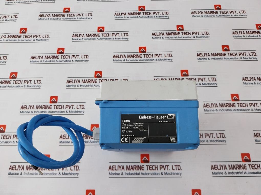 Endress+Hauser Rid16-11Q2/0 Channel Field Indicator For Profibus