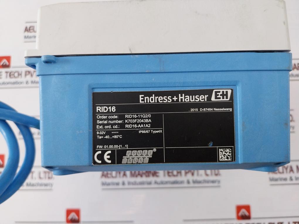 Endress+Hauser Rid16-11Q2/0 Channel Field Indicator For Profibus