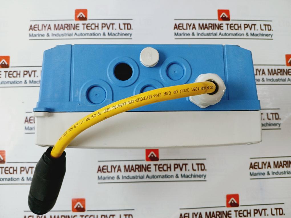 Endress+Hauser Rid16 Channel Field Indicator For Fieldbuses Ip67