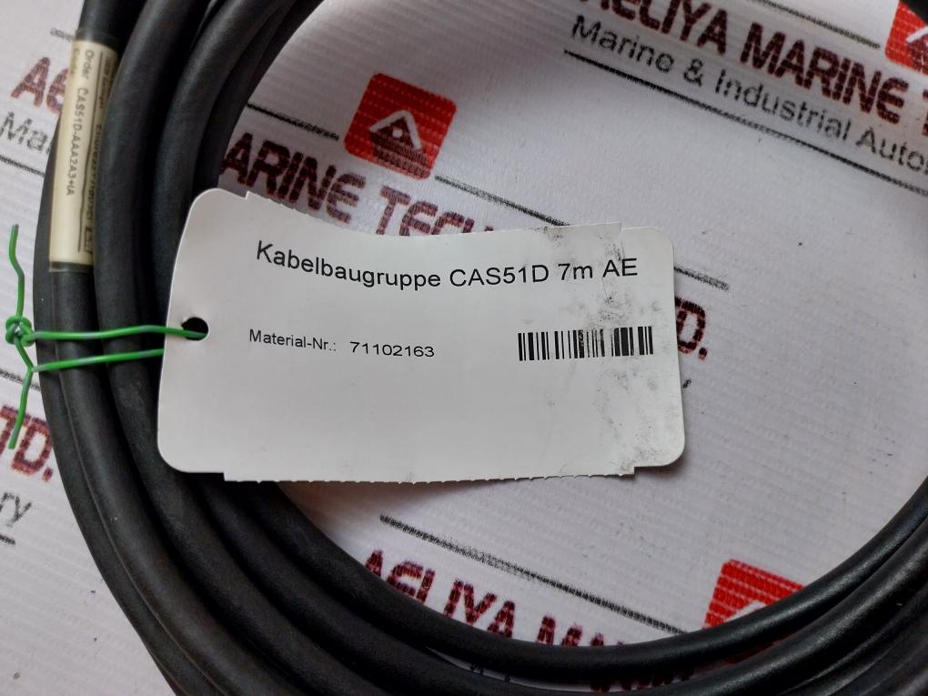 Endress+Hauser Viomax Cas51D-aaa2A3+Ia Optical Nitrate Sensor