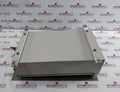 Energy Support Dgo-101 Oxygen Analyzer Ac100V 50/60Hz G9Ck Kp247327
