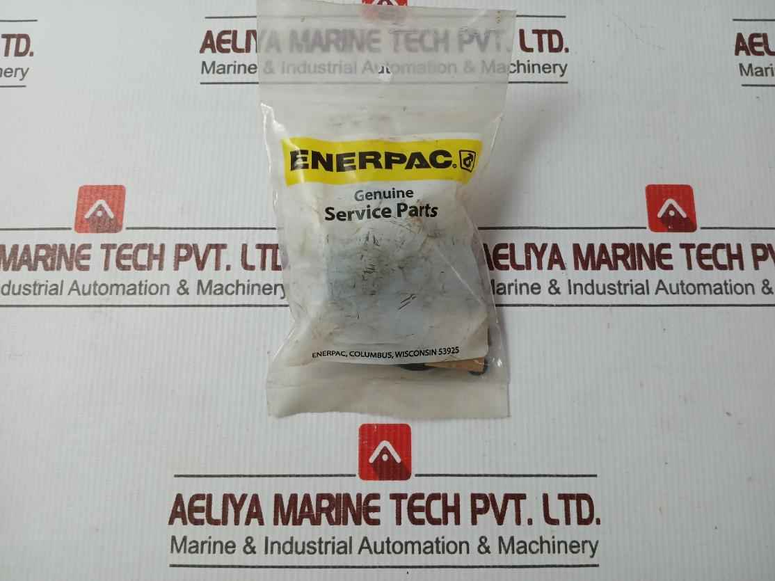 Enerpac Rsm200K50 Standard Repair Kit A8001018Sr