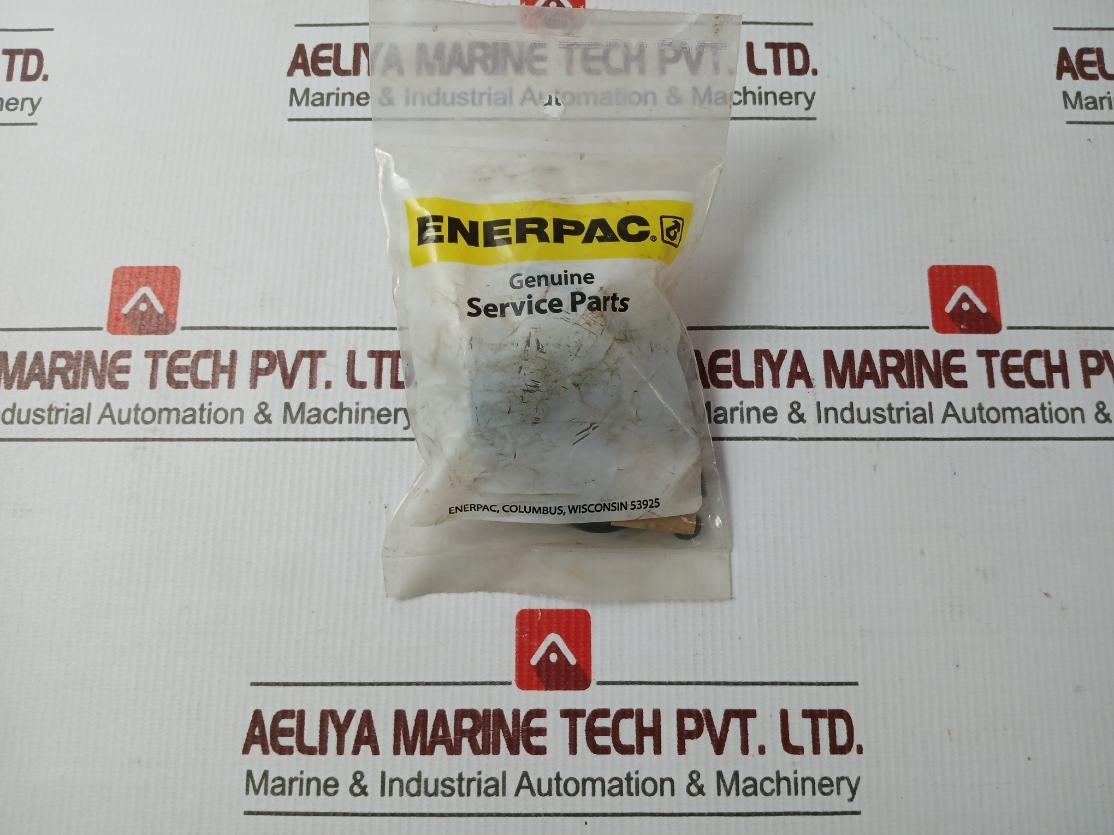 Enerpac Rsm200K50 Standard Repair Kit A8001018Sr