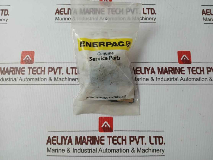 Enerpac Rsm200K50 Standard Repair Kit A8001018Sr