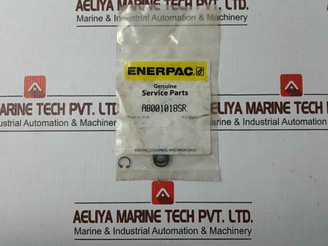 Enerpac Rsm200K50 Standard Repair Kit A8001018Sr