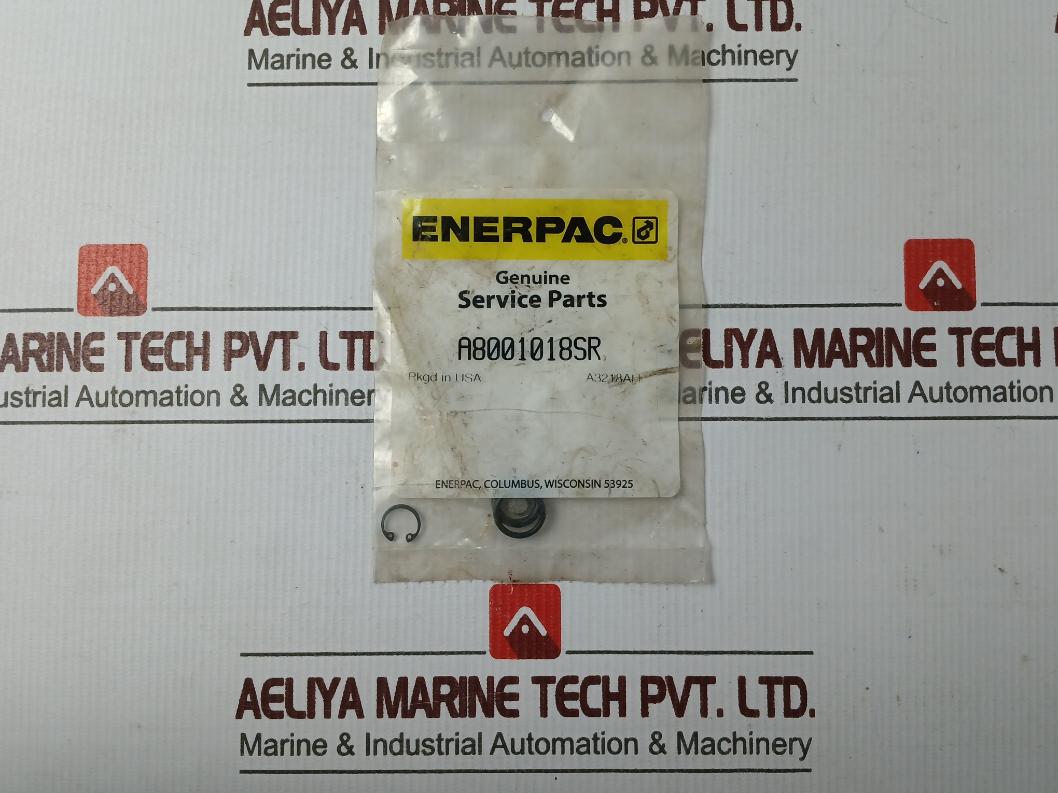 Enerpac Rsm200K50 Standard Repair Kit A8001018Sr