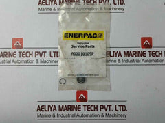 Enerpac Rsm200K50 Standard Repair Kit A8001018Sr