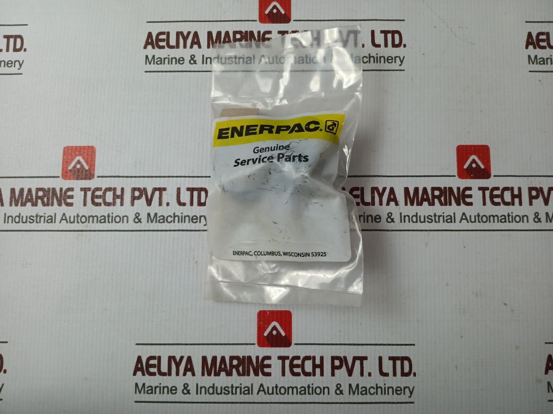 Enerpac Rsm200K50 Standard Repair Kit A8001018Sr