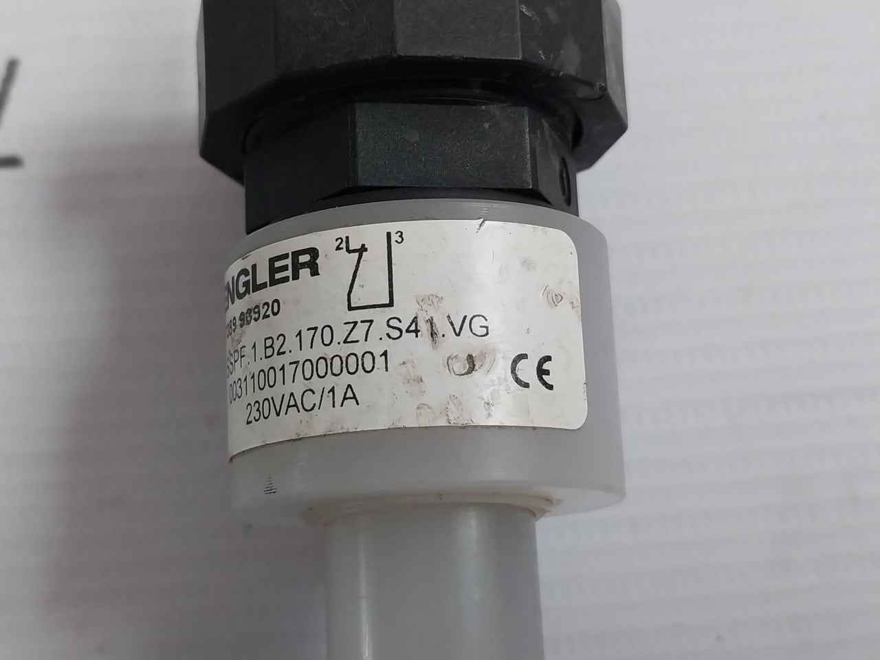 Engler Sspf.1.B2.170.Z7.S41.Vg Float Switch Pn16 230Vac/1A G 2”