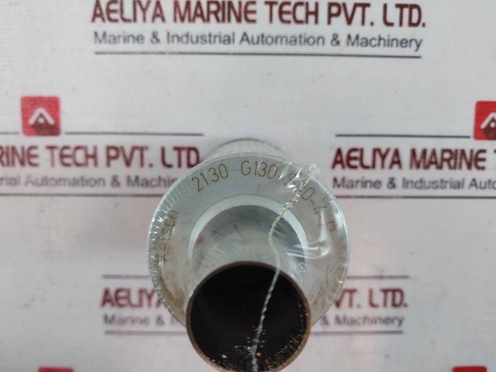 Epe 21.30-G130-S00-4-P Filter Cartridge