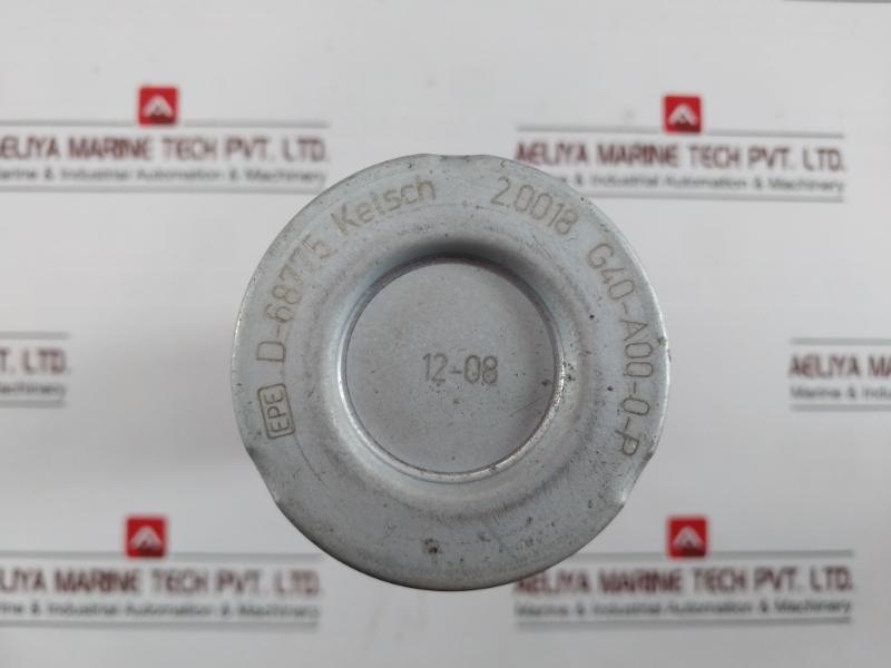 Epe G40-a00-0-p Replacement Filter Element 2.0018 12-08