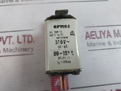 Ernst 00-125A Fuse Gl-gi 500V~ 00-125A