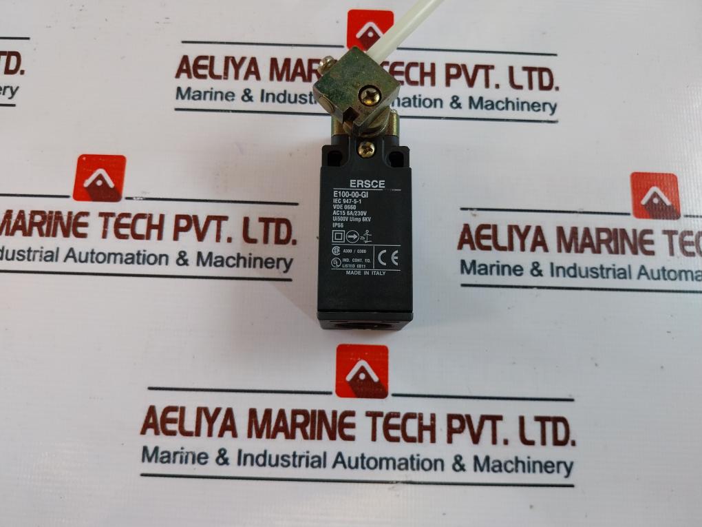 Ersce E100-00-GI Limit Switch