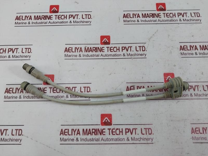 Escha 8018529/53237 Sensor Cable Connector Lif9Yhc11Yh 4X0,34