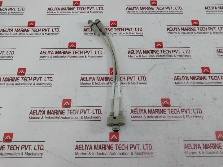 Escha 8018529/53237 Sensor Cable Connector Lif9Yhc11Yh 4X0,34