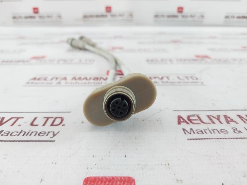 Escha 8018529/53237 Sensor Cable Connector Lif9Yhc11Yh 4X0,34