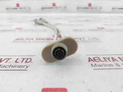 Escha 8018529/53237 Sensor Cable Connector Lif9Yhc11Yh 4X0,34