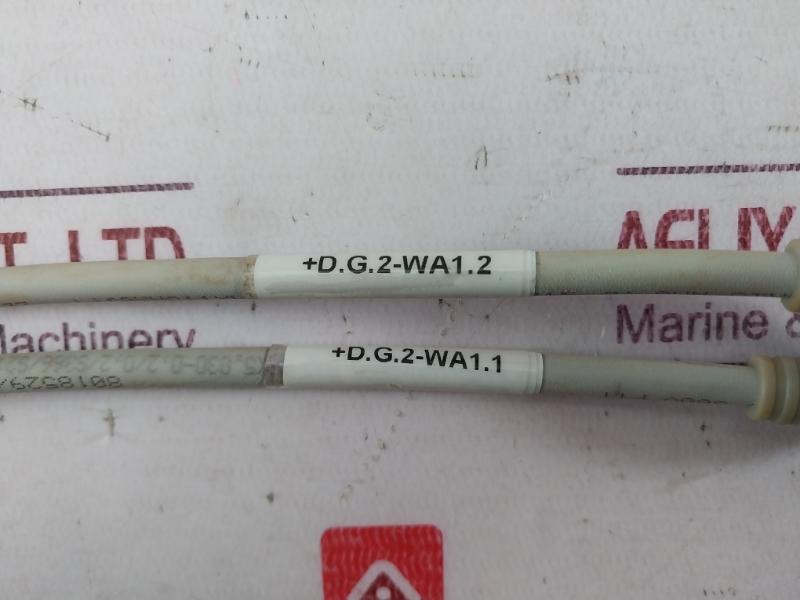 Escha 8018529/53237 Sensor Cable Connector Lif9Yhc11Yh 4X0,34
