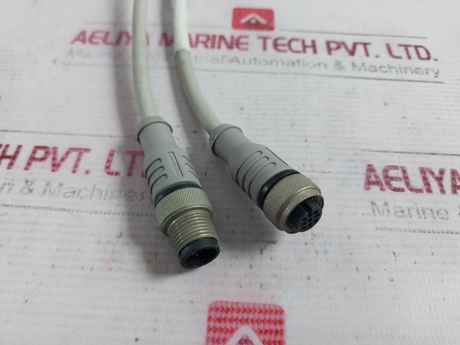 Escha E170315 Sensor Cable Connector Lif9Yhc11Yh 8018529/53237