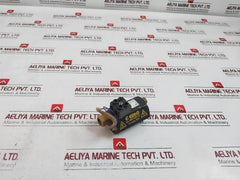 Euro Co2 Pre Heater 110 Volts 75 Degc