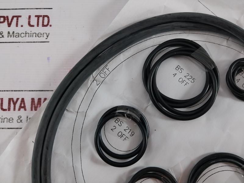 Evac 24334 O-ring Set For Phoenix Pressure Vessel 8” Sideport